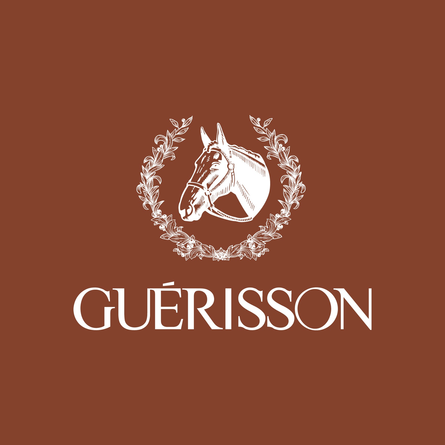 Guerisson